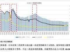 日本保险业研究报告.rar