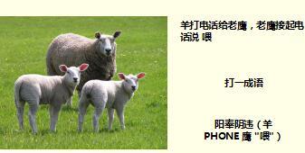 每日快乐早会17年7月13日使用15页.ppt