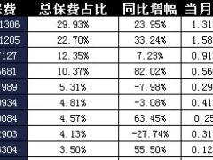宁夏2017年前5月寿险公司总保费排行榜.xls
