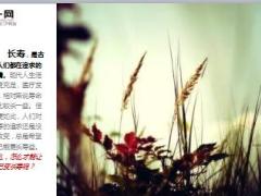 每日健康长寿5个微条件微胖微凉微饿微汗微愚11页.ppt