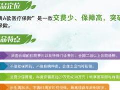 新华人寿康健华贵A款医疗保险单页正反面.rar
