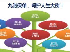 太保产品全景扫描从E锦囊到百万大单23页.ppt