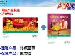 2017省公司赢胜金秋七月业务竞赛方案队伍宣导片国寿版29页.ppt