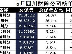 四川省2017年前5月财险公司总保费排行榜.xls