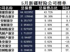 新疆2017年前5月财险公司总保费排行榜.xls
