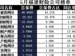 福建省2017年前5月财险公司总保费排行榜.xls