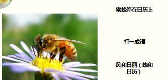 每日快乐早会17年7月17日使用15页.ppt