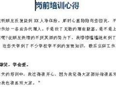 保险公司组训岗前培训心得3页.docx