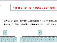 国寿基本法1加6或1加10晋升主管更有价值9页.ppt