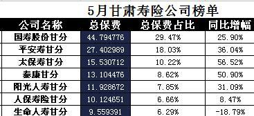 甘肃省2017年前5月寿险公司总保费排行榜.xls