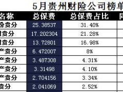 贵州2017年前5月财险公司总保费排行榜.xls