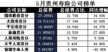 贵州2017年前5月寿险公司总保费排行榜.xls