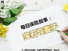 每日保险故事宝石与麦子7页.ppt