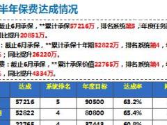 省分公司2017上半年工作总结下半年规划汇报新华版27页.ppt