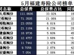 福建省2017年前5月寿险公司总保费排行榜.xls