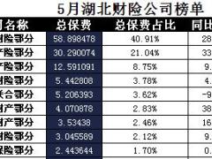 湖北省2017年前5月财险公司总保费排行榜.xls