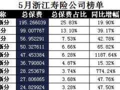 浙江省2017年前5月寿险公司总保费排行榜.xls