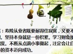 每日正能量成功讲究储备9页.ppt