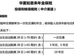 华夏经代如意来年金投保和核保保全规则.rar