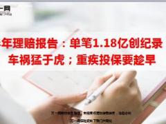 2017年半年理赔报告单笔超1亿创纪录11页.ppt