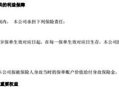 天安人寿附加金如意C款年金保险万能型产品说明书业管规定.rar