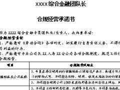 非法集资违规代销合规经营承诺书团队长版2页.docx