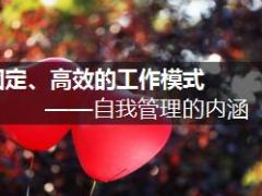 建立固定高效的工作模式自我管理的内涵40页.ppt