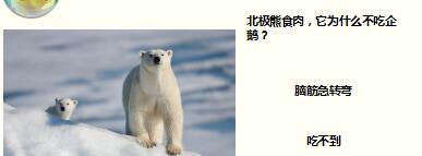每日快乐早会17年7月25日使用15页.ppt
