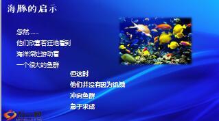 海豚的启示增员篇27页.ppt