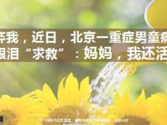 重症男童病床昏迷用眼泪求救妈妈我还活着15页.ppt