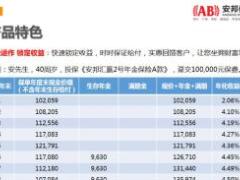 安邦汇赢2号年金保险A款产品简介7页.ppt