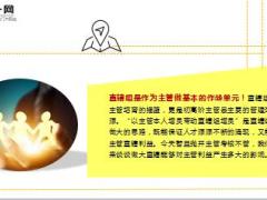 国寿2017基本法直辖组是团队发展的牛鼻子9页.ppt