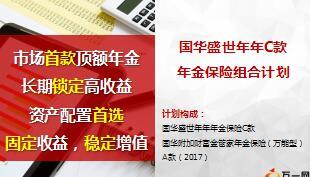 国华盛世年年C款年金计划宣导片趸交2017版22页.ppt