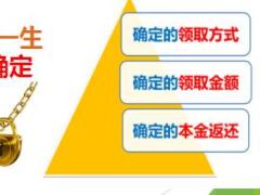 太平信守一生通用销售逻辑17页.ppt