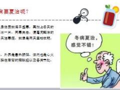 每日健康何为冬病为何夏治15页.ppt