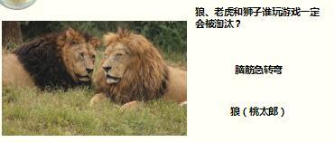 每日快乐早会17年8月2日使用15页.ppt