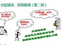钻石会员常态持续达标的方法及利益演算规划国寿版20页.ppt