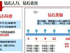 打造钻石主管的意义关键要素与行动规划国寿版含备注25页.ppt