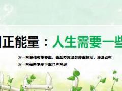 每日正能量人生需要一些疯狂13页.ppt
