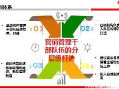 个险渠道发展策略及营销单位系统建设19页.ppt