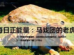 每日正能量马戏团的老虎10页.ppt