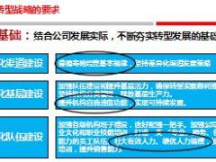 保险新人育成与辅导技巧69页.ppt