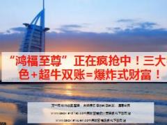 国寿鸿福至尊产品特色简介10页.ppt
