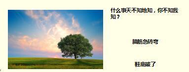 每日快乐早会17年8月9日使用15页.ppt