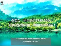 保监会2017半年赔付5785.50亿11页.ppt