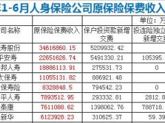 2017年上半年人身保险公司原保费收入排行表.xls