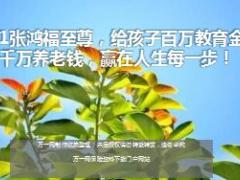 国寿鸿福至尊年金保险产品简介少儿版11页.ppt