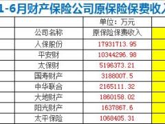 2017年上半年财产保险原保费收入排行榜.xls