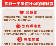 养老险微信宣传新华金彩一生版12页.rar