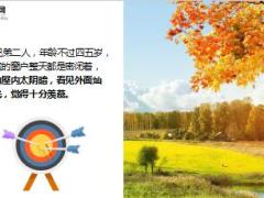 每日正能量扫阳光8页.ppt